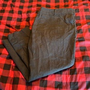 Women’s loft dress pants